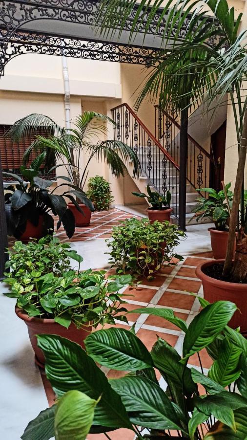 Botanic Suite Малага Екстериор снимка